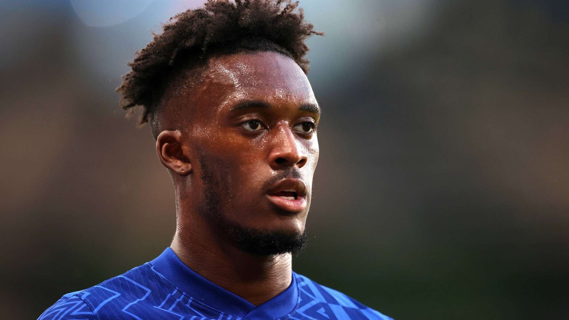 直是备受关 直是备受关